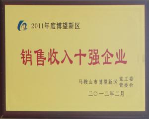 銷(xiāo)售收入十強(qiáng)企業(yè)